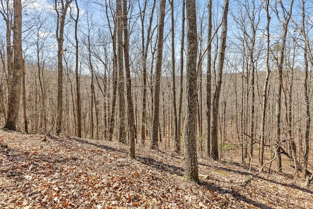 610 Orme Mountain Rd, South Pittsburg, TN 37380 - view of wooded area