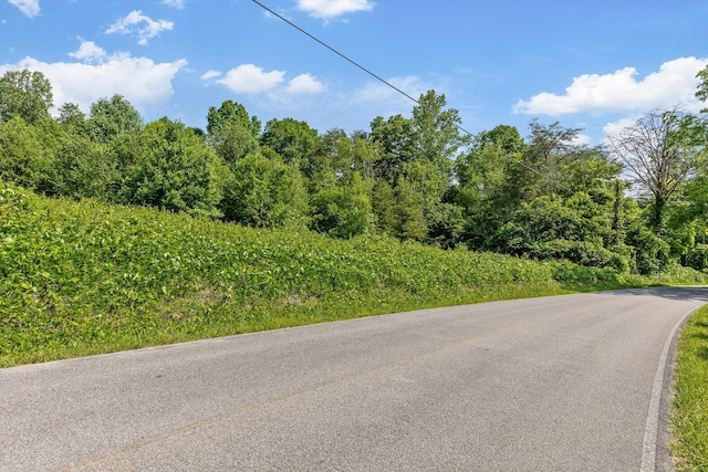 4300 Pocket Rd, Whitwell, TN 37397