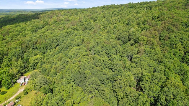 4300 Pocket Rd, Whitwell, TN 37397