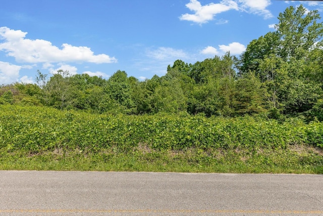 4300 Pocket Rd, Whitwell, TN 37397