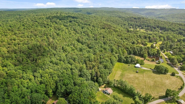 4300 Pocket Rd, Whitwell, TN 37397