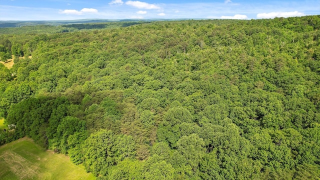 4300 Pocket Rd, Whitwell, TN 37397