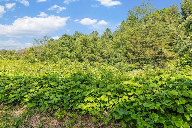 4300 Pocket Rd, Whitwell, TN 37397