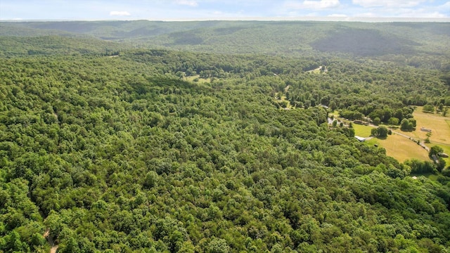 4300 Pocket Rd, Whitwell, TN 37397