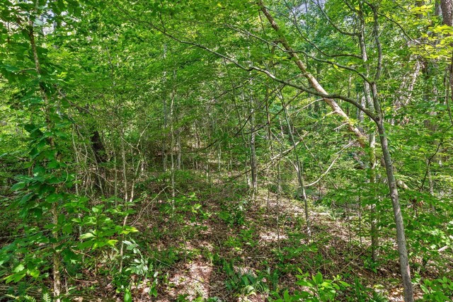 4300 Pocket Rd, Whitwell, TN 37397
