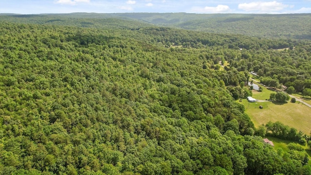4300 Pocket Rd, Whitwell, TN 37397