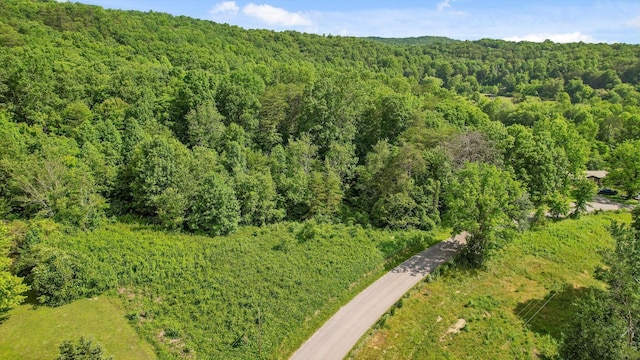 4300 Pocket Rd, Whitwell, TN 37397