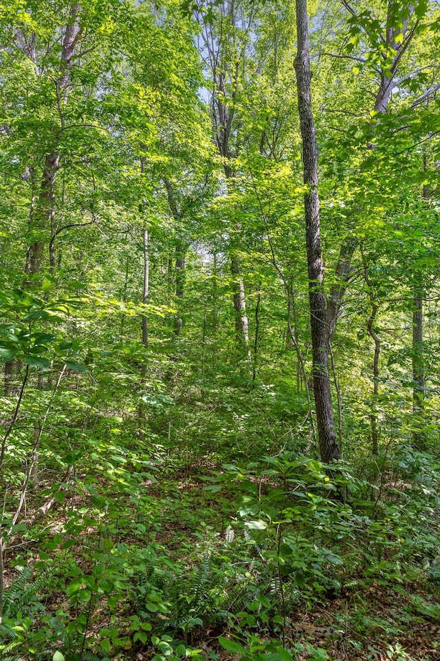 4300 Pocket Rd, Whitwell, TN 37397