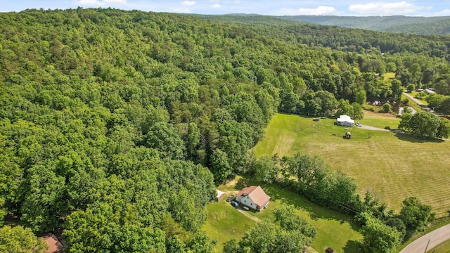 4300 Pocket Rd, Whitwell, TN 37397