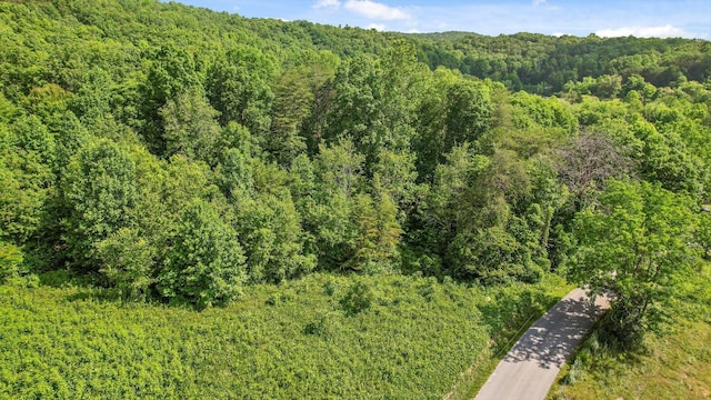 4300 Pocket Rd, Whitwell, TN 37397