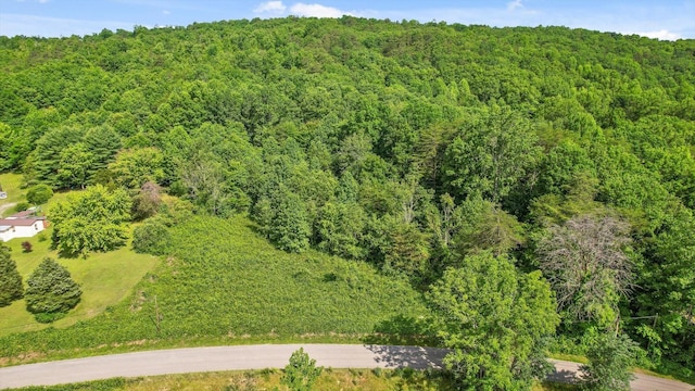 4300 Pocket Rd, Whitwell, TN 37397