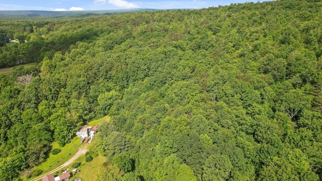 4300 Pocket Rd, Whitwell, TN 37397