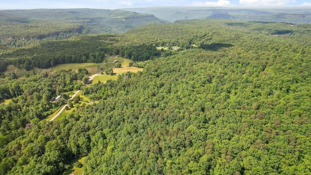 4300 Pocket Rd, Whitwell, TN 37397