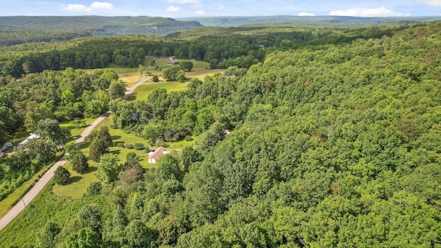 4300 Pocket Rd, Whitwell, TN 37397