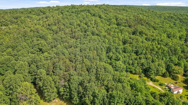 4300 Pocket Rd, Whitwell, TN 37397