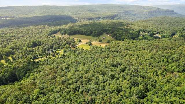4300 Pocket Rd, Whitwell, TN 37397