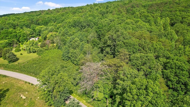 4300 Pocket Rd, Whitwell, TN 37397