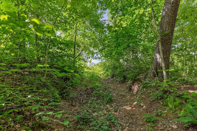 4300 Pocket Rd, Whitwell, TN 37397