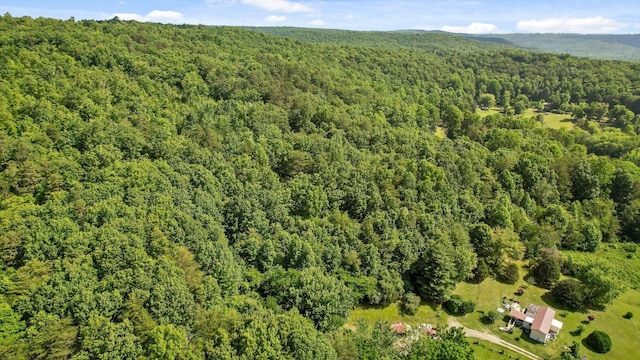 4300 Pocket Rd, Whitwell, TN 37397