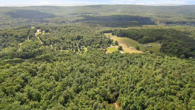 4300 Pocket Rd, Whitwell, TN 37397