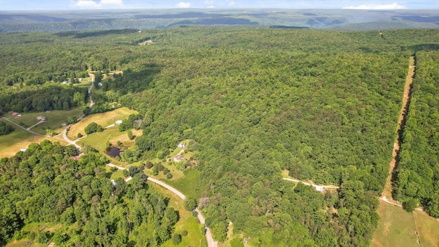 4300 Pocket Rd, Whitwell, TN 37397