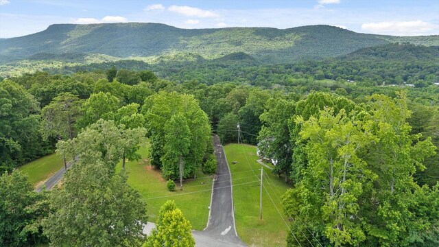0 Cloud 9 Ln, Flintstone, GA 30725 - photo 23