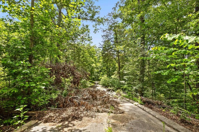 0 Cloud 9 Ln, Flintstone, GA 30725 - photo 4
