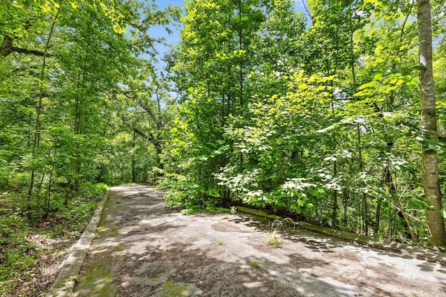 0 Cloud 9 Ln, Flintstone, GA 30725 - photo 1