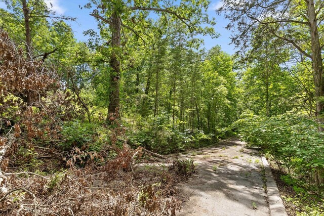 0 Cloud 9 Ln, Flintstone, GA 30725 - photo 11