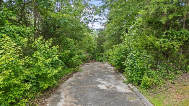 0 Cloud 9 Ln, Flintstone, GA 30725 - photo 24