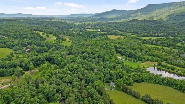0 Cloud 9 Ln, Flintstone, GA 30725 - photo 18