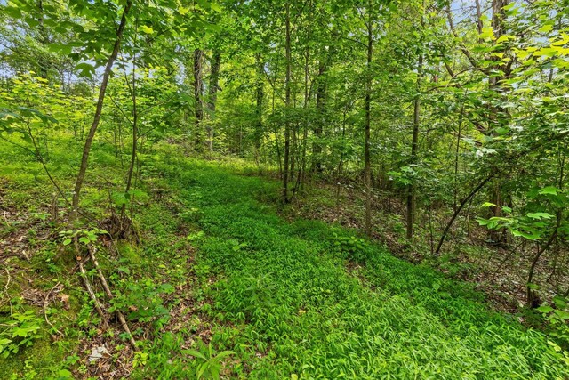0 Cloud 9 Ln, Flintstone, GA 30725 - photo 7
