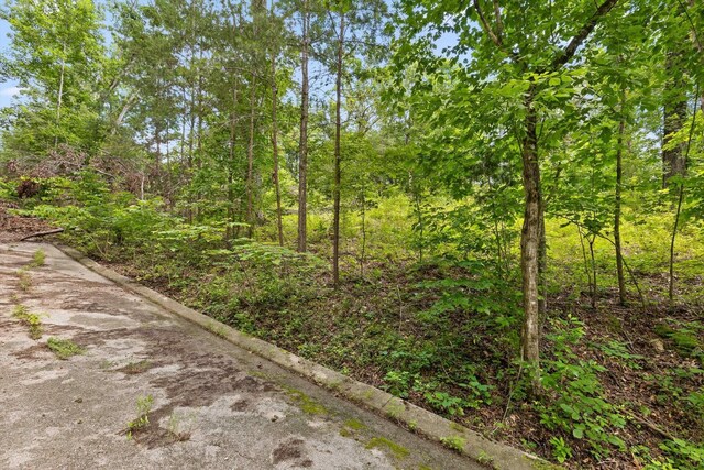 0 Cloud 9 Ln, Flintstone, GA 30725 - photo 10