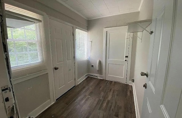 604606 N Moore Rd, Chattanooga, TN 37411 - doorway to outside featuring crown molding, dark wood-type flooring, and healthy amount of natural light