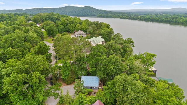 357 Russell Ln, Decatur, TN 37322 - photo 35