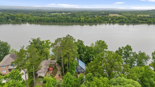 357 Russell Ln, Decatur, TN 37322 - photo 37