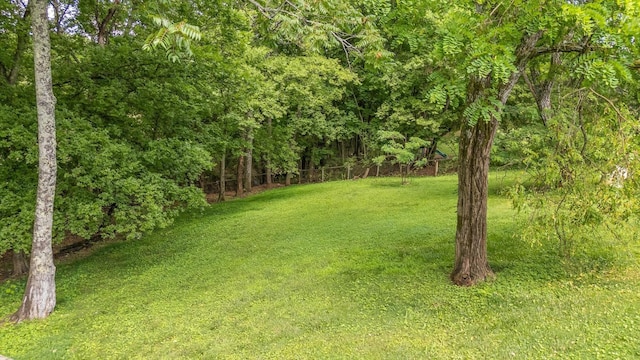 1831 Bay Pointe Dr, Hixson, TN 37343 - photo 36