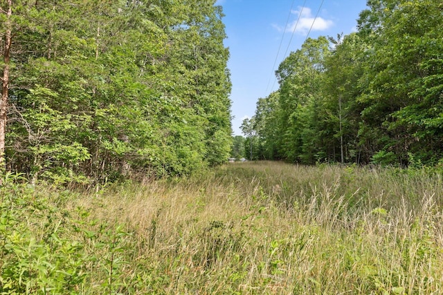 0 Griff Johnson Rd, Menlo, GA 30731