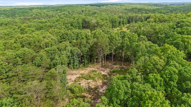 0 Griff Johnson Rd, Menlo, GA 30731
