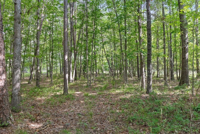 0 Griff Johnson Rd, Menlo, GA 30731