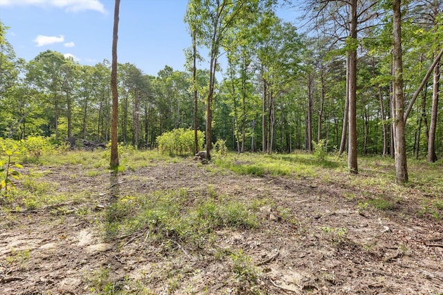0 Griff Johnson Rd, Menlo, GA 30731