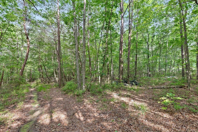 0 Griff Johnson Rd, Menlo, GA 30731