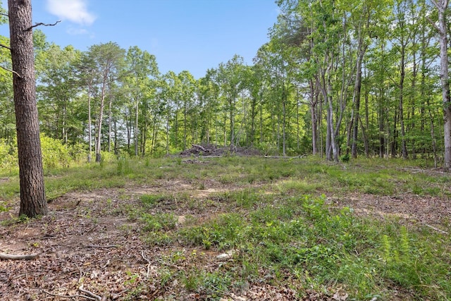 0 Griff Johnson Rd, Menlo, GA 30731