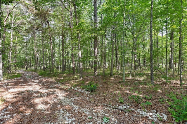 0 Griff Johnson Rd, Menlo, GA 30731