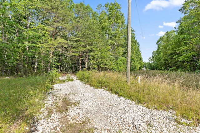 0 Griff Johnson Rd, Menlo, GA 30731