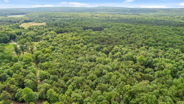 0 Griff Johnson Rd, Menlo, GA 30731