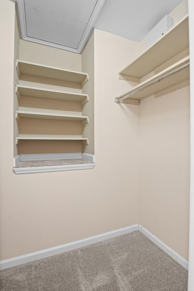6585 Hickory Trace Cir, Chattanooga, TN 37421 - walk in closet with carpet flooring
