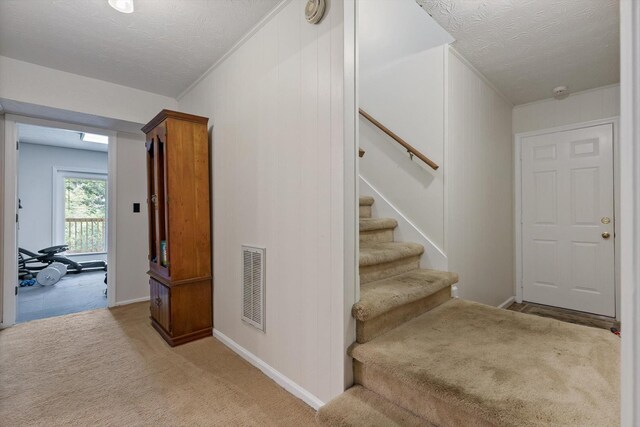 9101 Tennga Ln, Chattanooga, TN 37421 - photo 35