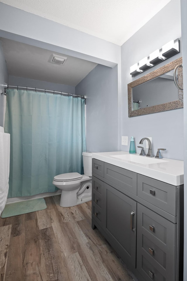 411 Meadow Green Dr, Ringgold, GA 30736 - bathroom featuring wood finished floors, vanity, and curtained shower