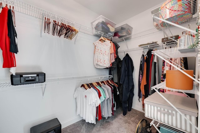 7183 Tailgate Loop, Ooltewah, TN 37363 - spacious closet featuring carpet floors